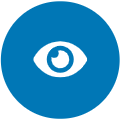 Our Strategic Vision